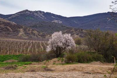 Прикрепленное изображение: IMG_4454.jpg